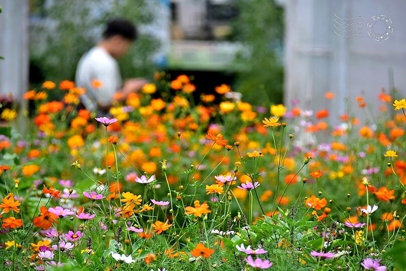 宜蘭武荖坑:2024綠色博覽會 宜蘭武荖坑:2024綠色博覽會