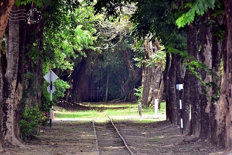 蒜頭糖廠蔗埕文化園區