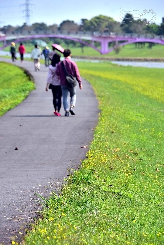 安農溪分洪堰風景區