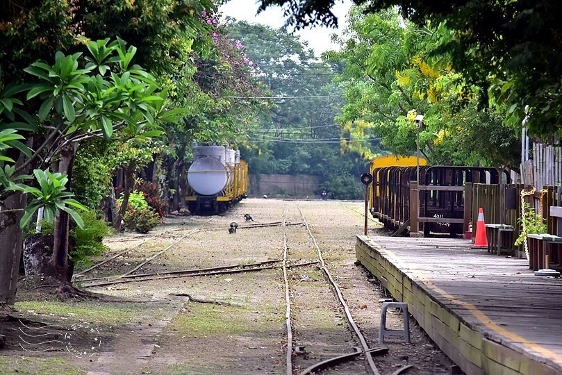 蒜頭糖廠蔗埕文化園區