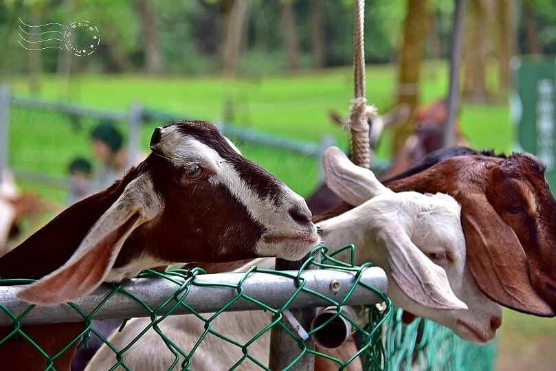 宜蘭武荖坑:2024綠色博覽會 宜蘭武荖坑:2024綠色博覽會