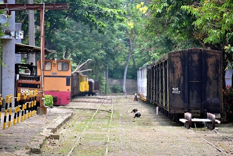 蒜頭糖廠蔗埕文化園區
