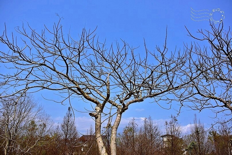 安農溪分洪堰風景區