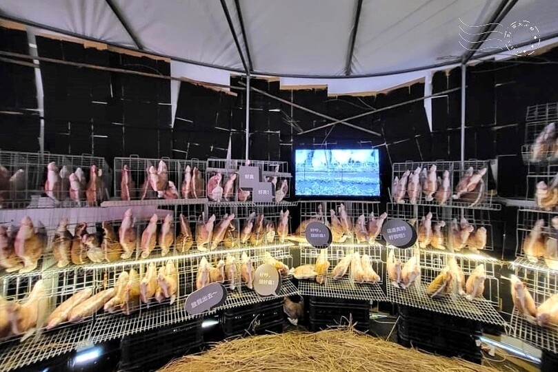 宜蘭武荖坑:2024綠色博覽會 宜蘭武荖坑:2024綠色博覽會