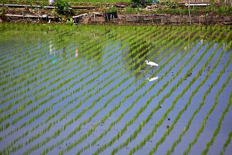 安農溪分洪堰風景區