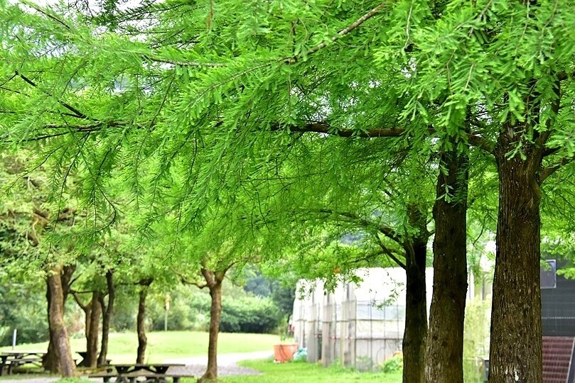 宜蘭武荖坑:2024綠色博覽會 宜蘭武荖坑:2024綠色博覽會