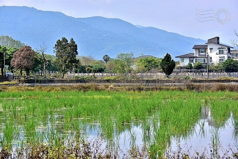 安農溪分洪堰風景區