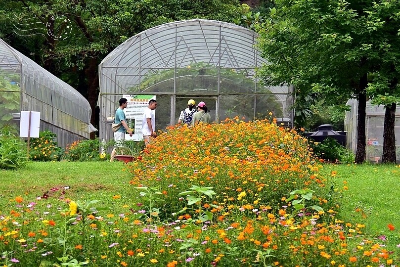 宜蘭武荖坑:2024綠色博覽會 宜蘭武荖坑:2024綠色博覽會