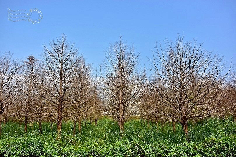 安農溪分洪堰風景區