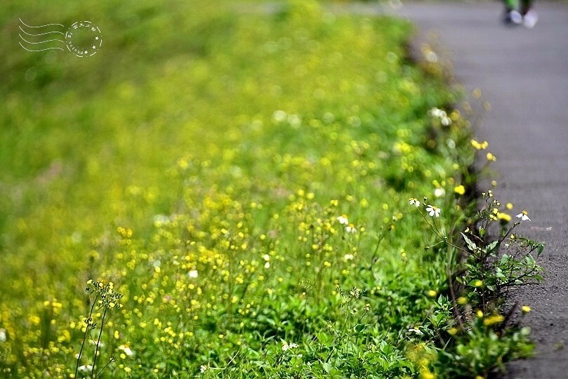 安農溪分洪堰風景區