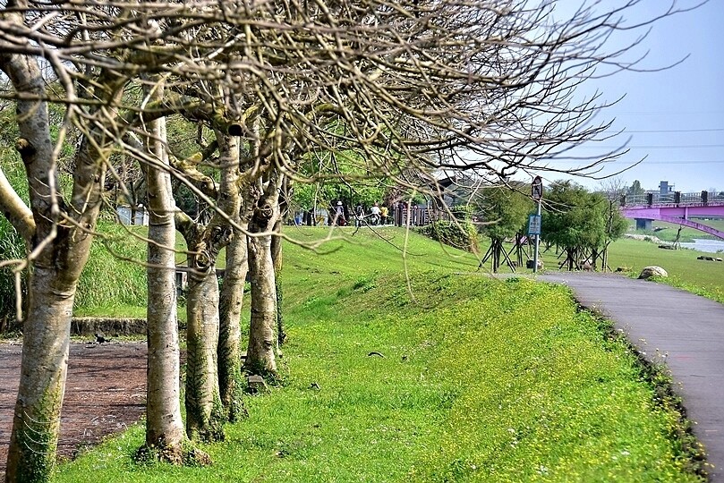 安農溪分洪堰風景區