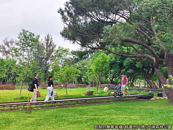 大湳森林公園13-開放河道區-步道.jpg