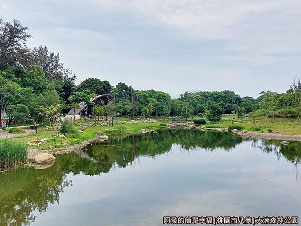 大湳森林公園07-中央水池.jpg