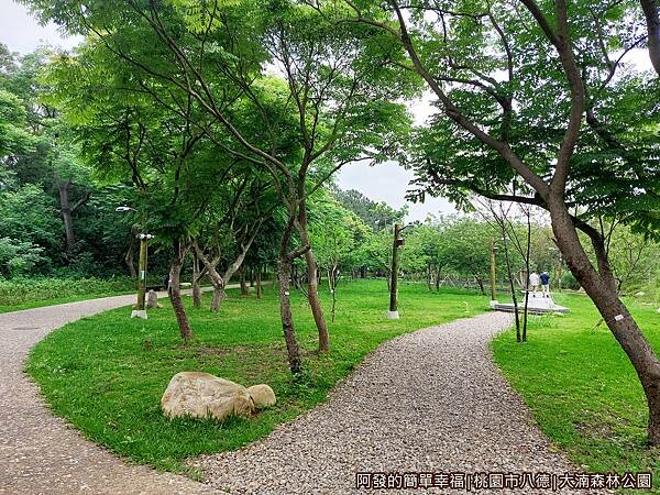 大湳森林公園15-森林小徑.jpg