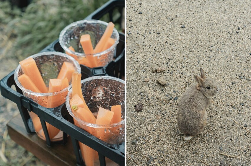 DSC00663-side DSC00663-side