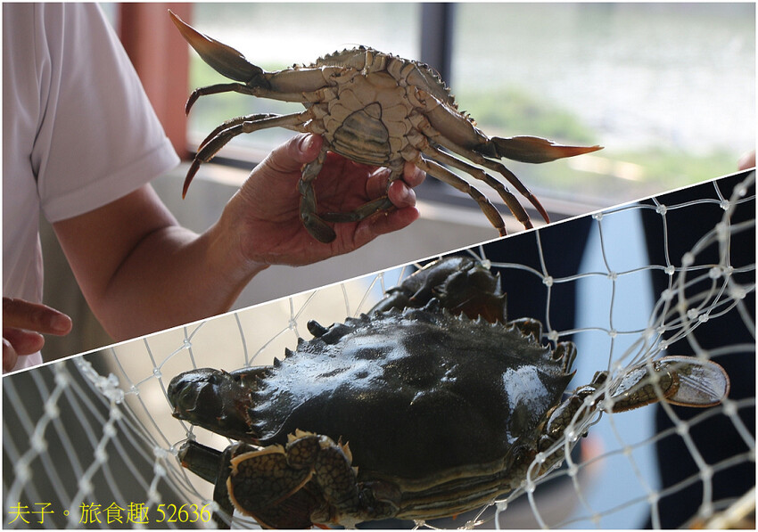 蘆竹溝蚵學園區 坐膠筏巡蚵田 一日蚵農體驗 蘆竹溝蚵學園區 坐膠筏巡蚵田 一日蚵農體驗