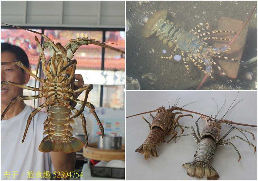 蘆竹溝蚵學園區 坐膠筏巡蚵田 一日蚵農體驗 蘆竹溝蚵學園區 坐膠筏巡蚵田 一日蚵農體驗