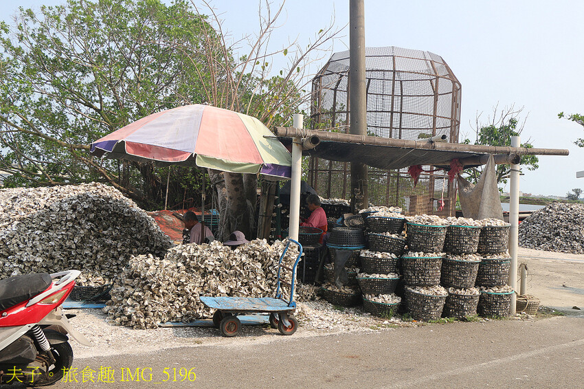 蘆竹溝蚵學園區 坐膠筏巡蚵田 一日蚵農體驗 蘆竹溝蚵學園區 坐膠筏巡蚵田 一日蚵農體驗