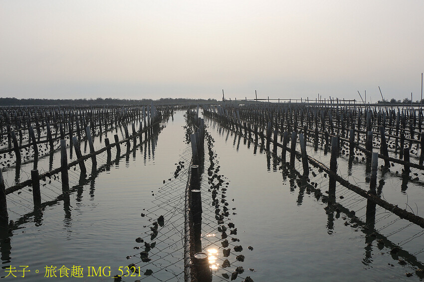 蘆竹溝蚵學園區 坐膠筏巡蚵田 一日蚵農體驗 蘆竹溝蚵學園區 坐膠筏巡蚵田 一日蚵農體驗