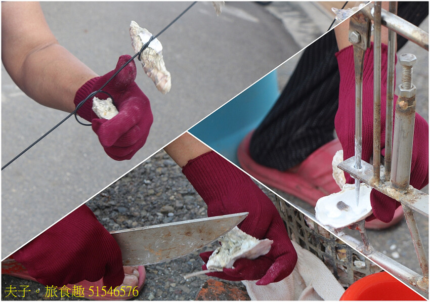 蘆竹溝蚵學園區 坐膠筏巡蚵田 一日蚵農體驗 蘆竹溝蚵學園區 坐膠筏巡蚵田 一日蚵農體驗