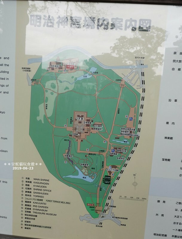 日本【2019日本關東。東京畢業旅行】日本第一大木造鳥居.明治神宮 & 竹下通