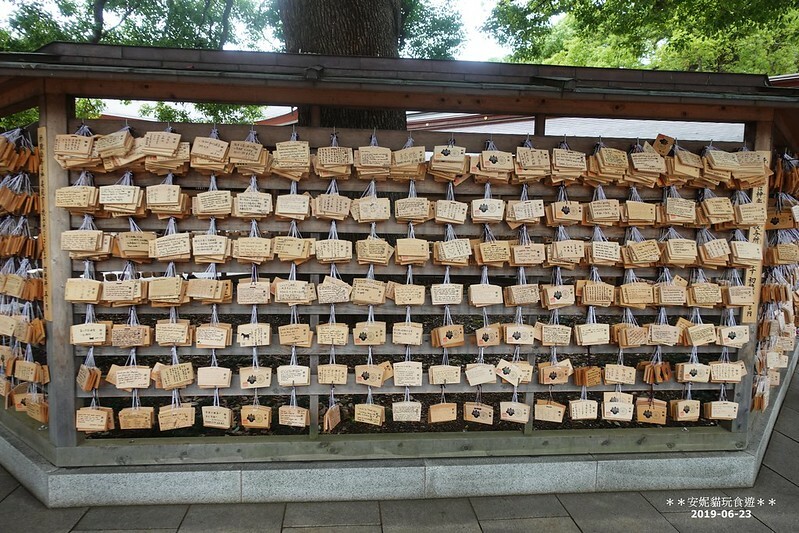 日本【2019日本關東。東京畢業旅行】日本第一大木造鳥居.明治神宮 & 竹下通