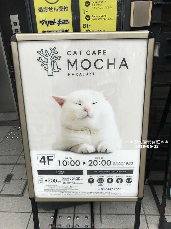 日本【2019日本關東。東京畢業旅行】日本第一大木造鳥居.明治神宮 & 竹下通