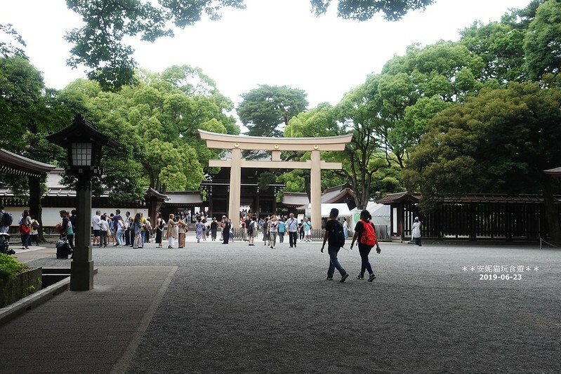 日本【2019日本關東。東京畢業旅行】日本第一大木造鳥居.明治神宮 & 竹下通