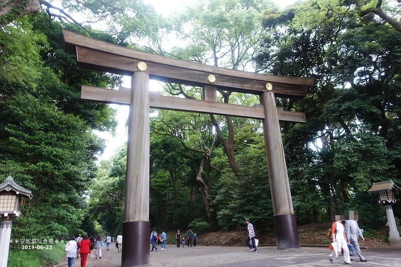 日本【2019日本關東。東京畢業旅行】日本第一大木造鳥居.明治神宮 & 竹下通