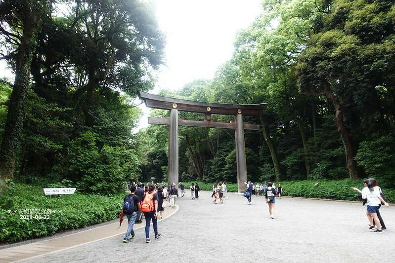 日本【2019日本關東。東京畢業旅行】日本第一大木造鳥居.明治神宮 & 竹下通