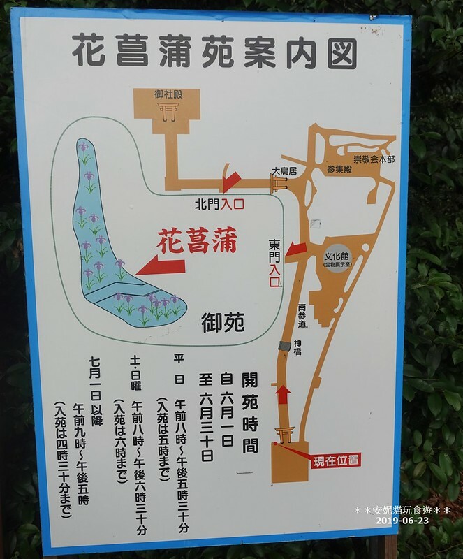 日本【2019日本關東。東京畢業旅行】日本第一大木造鳥居.明治神宮 & 竹下通