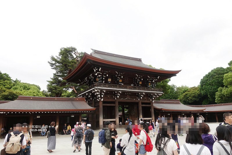 日本【2019日本關東。東京畢業旅行】日本第一大木造鳥居.明治神宮 & 竹下通