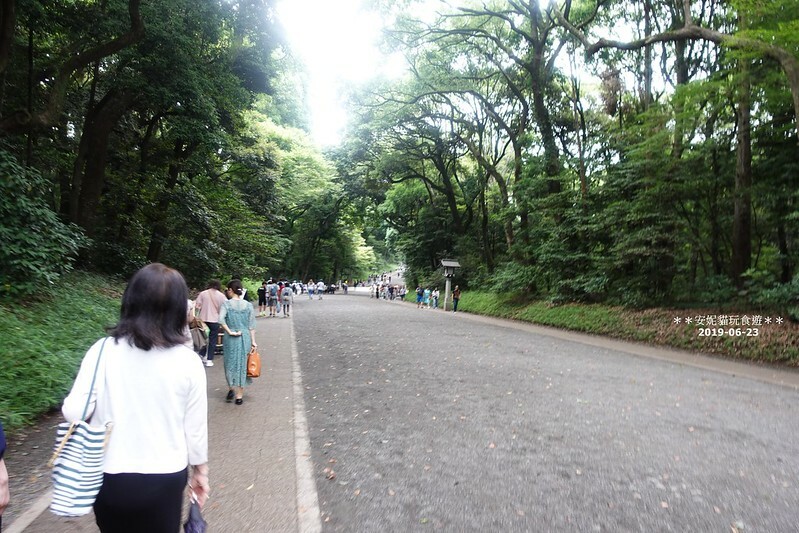日本【2019日本關東。東京畢業旅行】日本第一大木造鳥居.明治神宮 & 竹下通