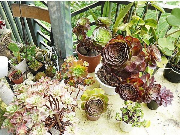 2024基國派老教堂  (13).jpg