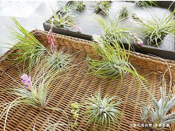 2024基國派老教堂  (11).jpg