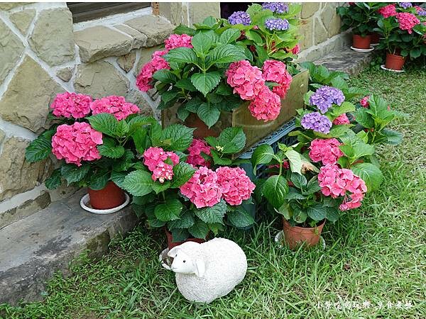 2024-515基國派老教堂 (7).jpg