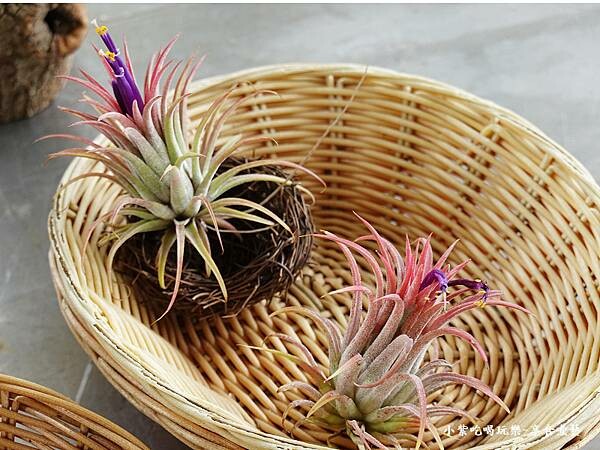 2024基國派老教堂  (10).jpg