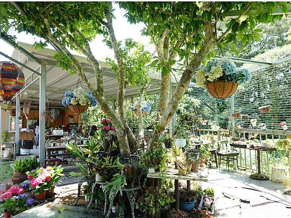 2024-515基國派老教堂 (3).jpg