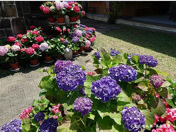 2024-515基國派老教堂 (5).jpg