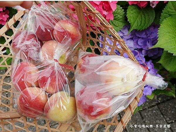 2023-5月基國派老教堂  (13).jpg