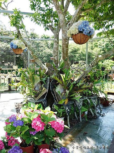 2024-515基國派老教堂 (4).jpg