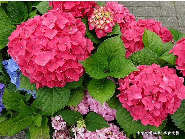 2023-5月基國派老教堂  (8).jpg