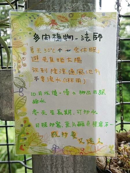 2023-5月基國派老教堂-多肉法師 (2).JPG