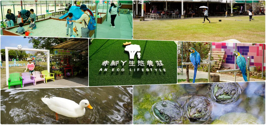 台中市西區迎接初夏！2024年7大台中阿勃勒花季盛事，黃金雨綻放迷人景致，絕美景點一次搞定！