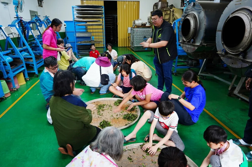 新北市三峽區細品三峽茶韻，感受茶文化的薰陶：2024新北藍茶藝術季在客家文化園區的品茗、採茶、揉茶、傳承文化的體驗之