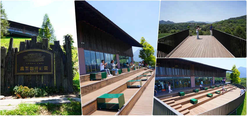 台中市西區迎接初夏！2024年7大台中阿勃勒花季盛事，黃金雨綻放迷人景致，絕美景點一次搞定！