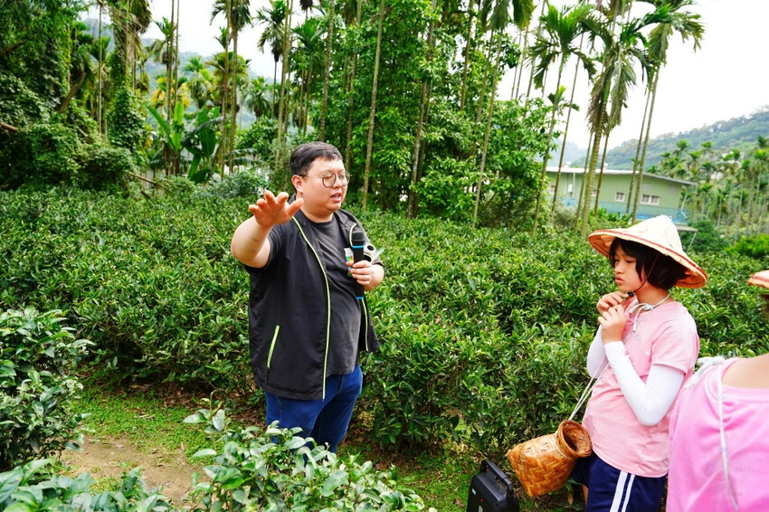 新北市三峽區細品三峽茶韻，感受茶文化的薰陶：2024新北藍茶藝術季在客家文化園區的品茗、採茶、揉茶、傳承文化的體驗之