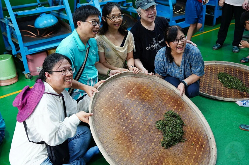 新北市三峽區細品三峽茶韻，感受茶文化的薰陶：2024新北藍茶藝術季在客家文化園區的品茗、採茶、揉茶、傳承文化的體驗之