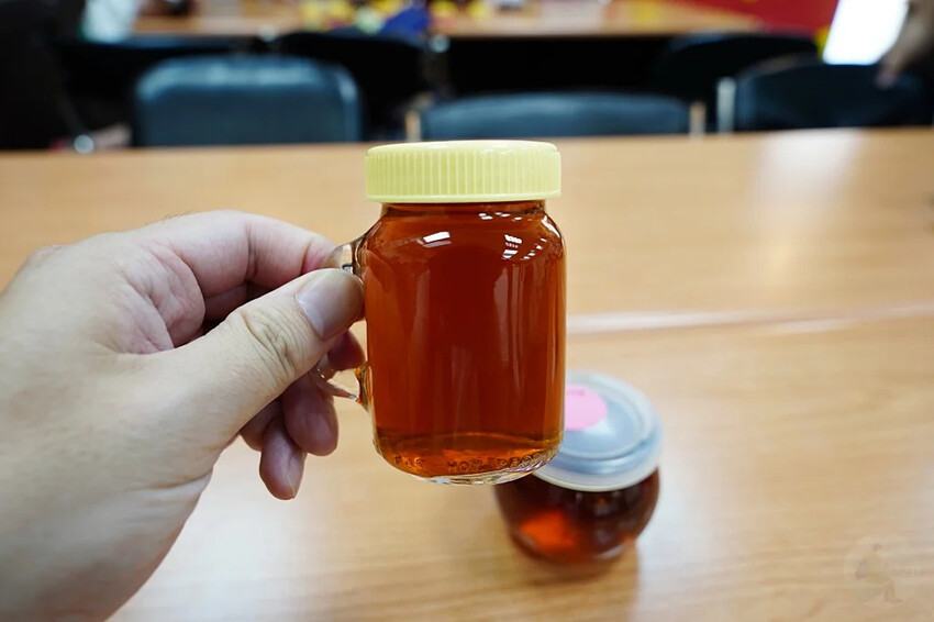 新北市三峽區細品三峽茶韻，感受茶文化的薰陶：2024新北藍茶藝術季在客家文化園區的品茗、採茶、揉茶、傳承文化的體驗之