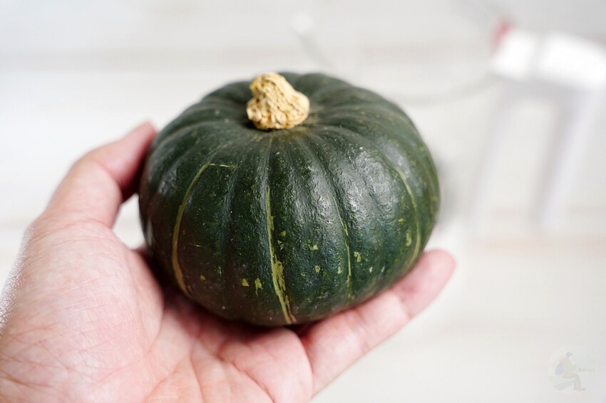 為現代生活注入健康活力｜GPLUS GP-CHE001 冷熱營養調理機的全方位功能